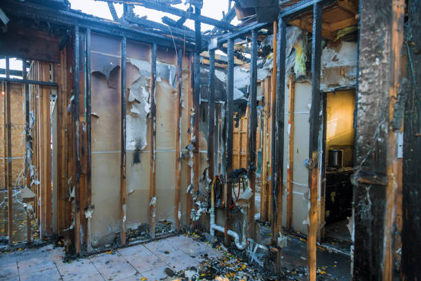 Professional Structural Rebuild technician working in Lakeland, MN